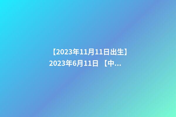 【2023年11月11日出生】2023年6月11日 【中華取名網(wǎng)】與西安XXX有限公司簽約-第1張-公司起名-玄機(jī)派